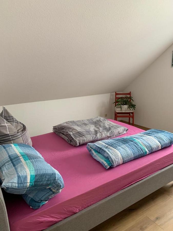 Apartment Am Froschteich